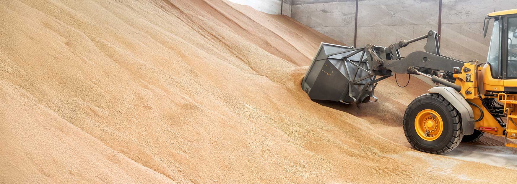 Ein Bagger verlädt in einer großen Halle Futtermittel.