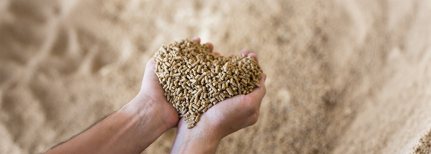 Zwei H&auml;nde formen ein Herz aus kleinen pellets.